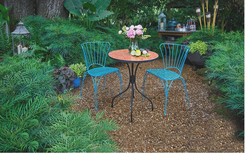 Soft Caress Mahonia - 2 Gallon Pot 6 Soft Caress Mahonia - 2 Gallon Pot - Image 4