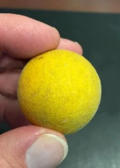 Flying Dragon Hardy Orange Tree - 7 Gallon Pot (3-4') -Wilson Bros Garden Orange Flying Dragon 6 4