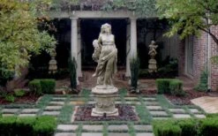 Dwarf Mondo Grass - 36 Pack Of 3.5" Pint Pots -Wilson Bros Garden Picture Mondo Grass Dwarf Pavers