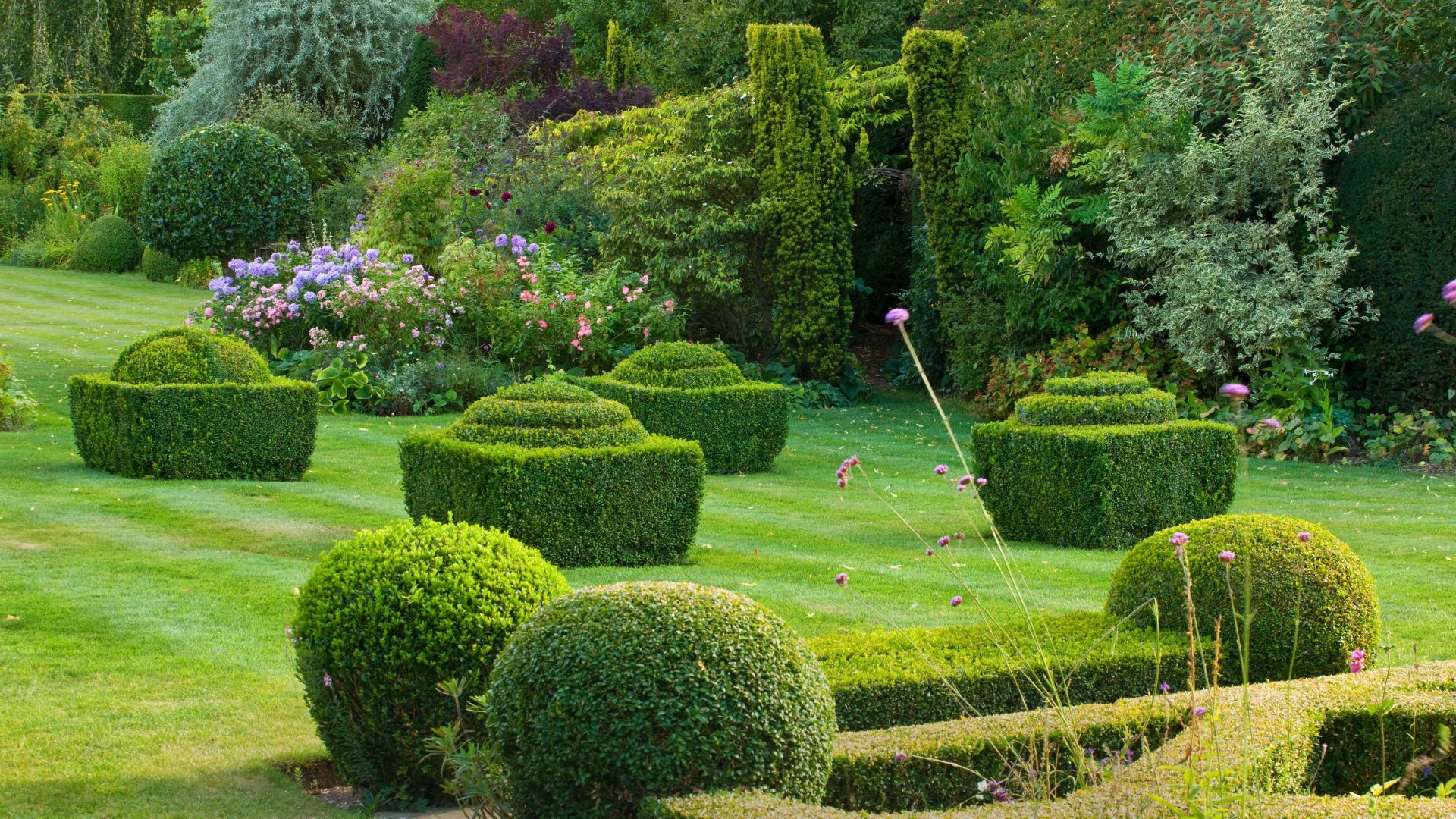 Wilson Bros Garden -Wilson Bros Garden Soft Green Simple Skincare Tips Presentation 2