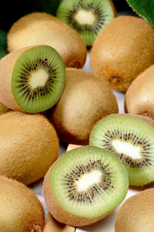 Jenny Fuzzy Kiwi Vine (Self Fertile) - 1 Gallon Pot 3 Jenny Fuzzy Kiwi Vine (Self Fertile) - 1 Gallon Pot