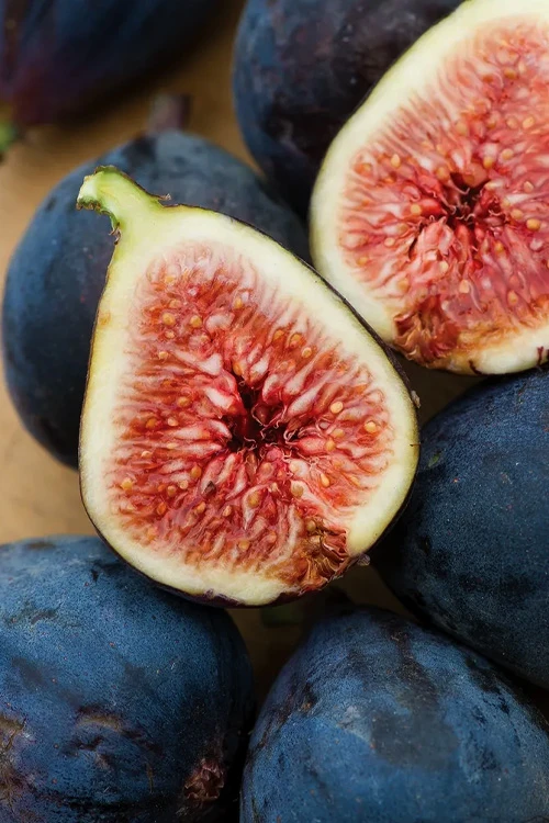 Black Mission Fig Tree - 1 Gallon Pot 3 Black Mission Fig Tree - 1 Gallon Pot